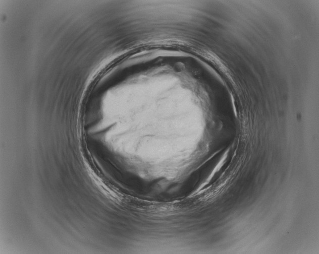 X0000066530795200604071615