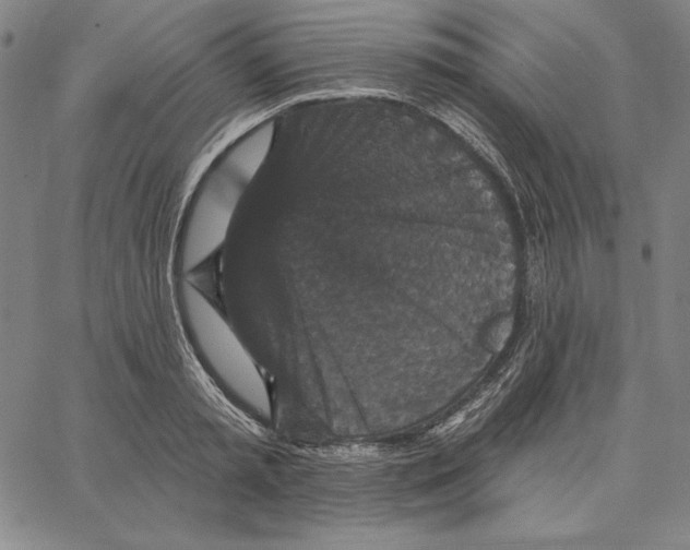 X0000066530797200604071615