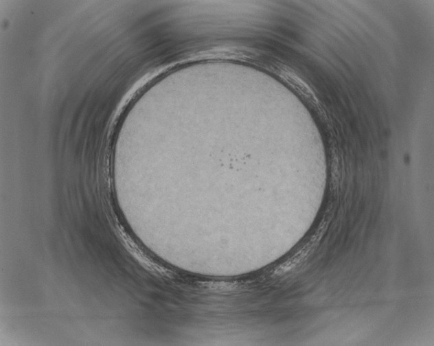 X0000066530800200604071615