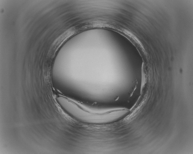 X0000066530801200604071615