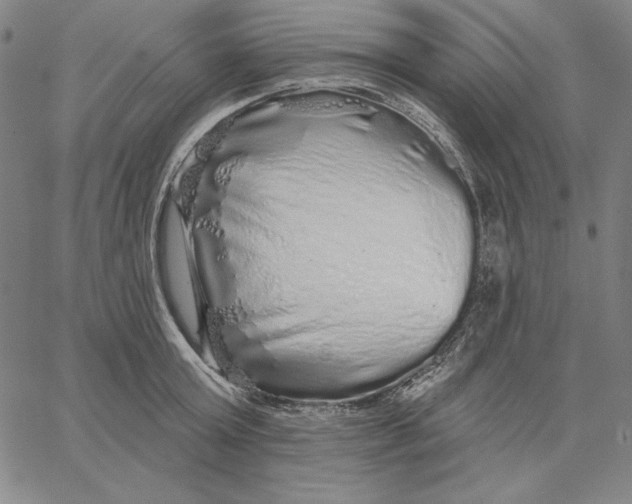 X0000066530803200604071615