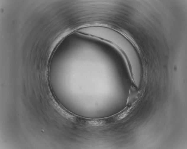 X0000066530805200604071615