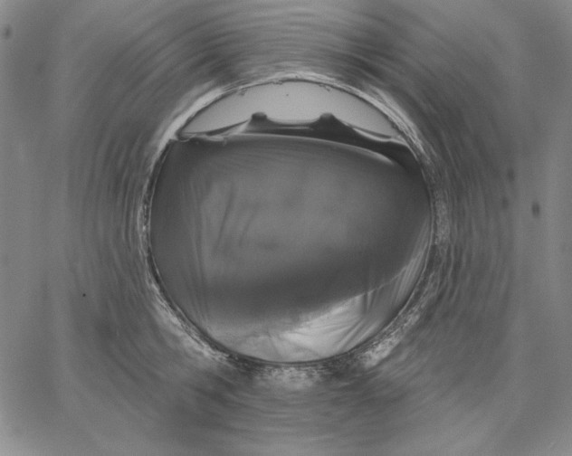 X0000066530806200604071615