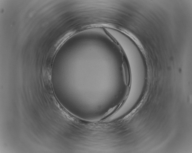 X0000066530809200604071615