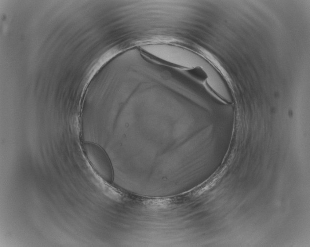 X0000066530810200604071615