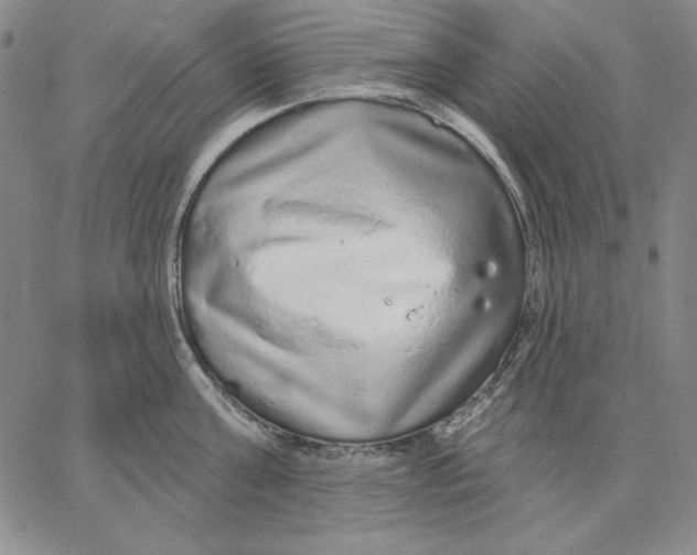 X0000066530811200604071615