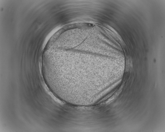 X0000066530812200604071615