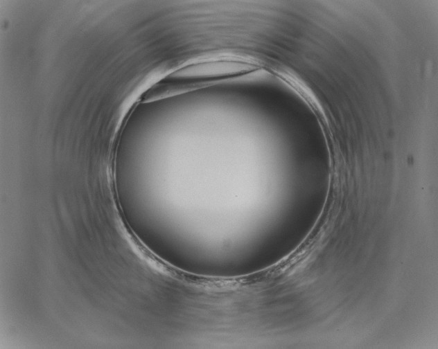 X0000066530813200604071615