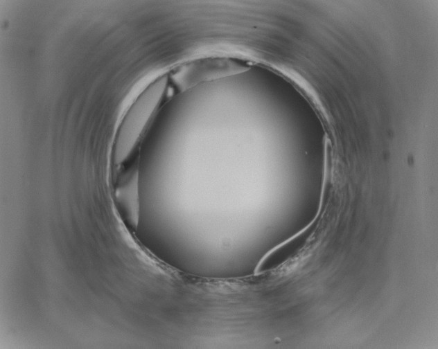 X0000066530815200604071615