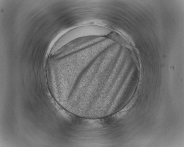 X0000066530816200604071615