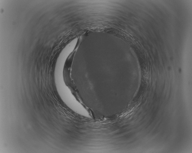 X0000066530818200604071614