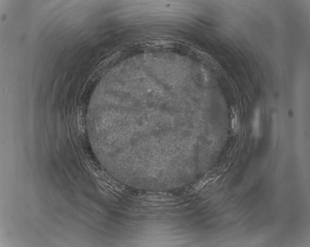 X0000066530819200604071614