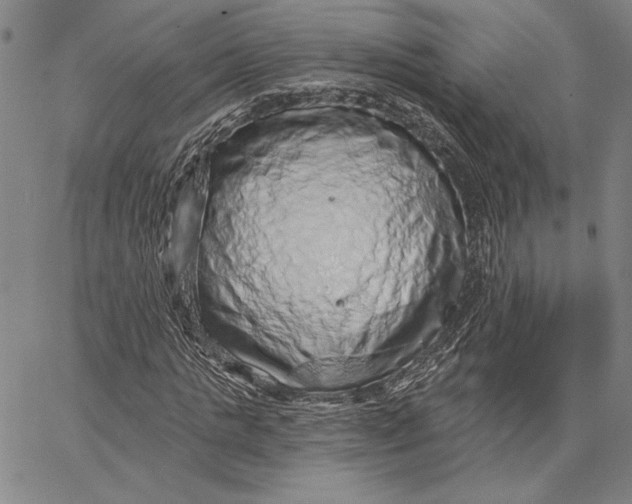 X0000066530821200604071614