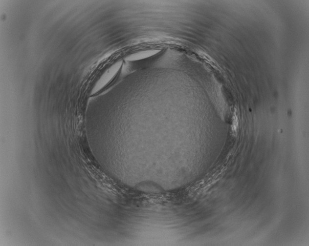 X0000066530822200604071614