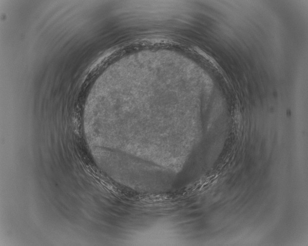 X0000066530823200604071614