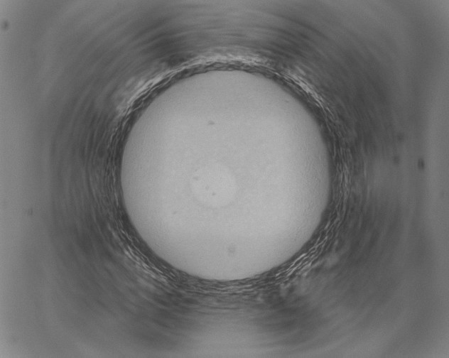 X0000066530824200604071614