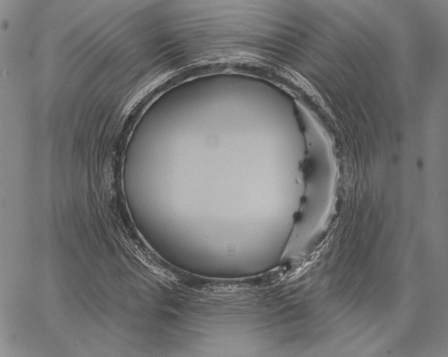 X0000066530826200604071614