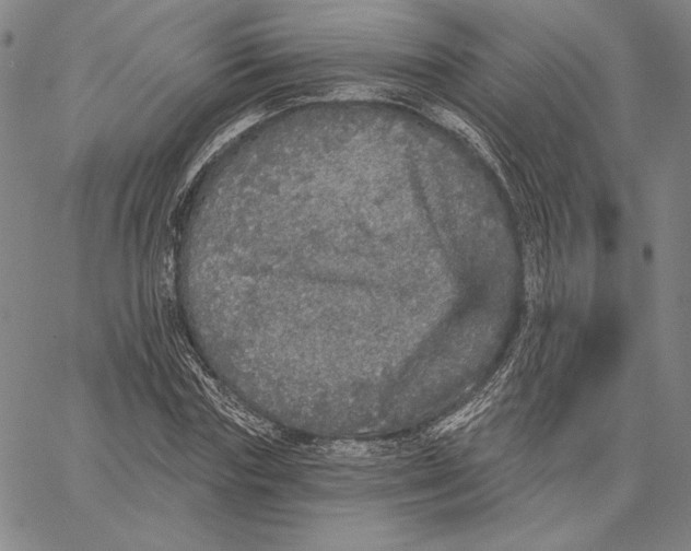 X0000066530827200604071615