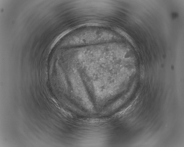 X0000066530829200604071615