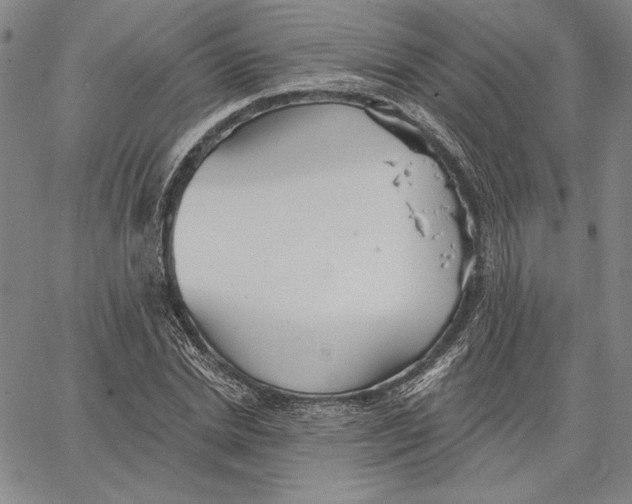 X0000066530830200604071615