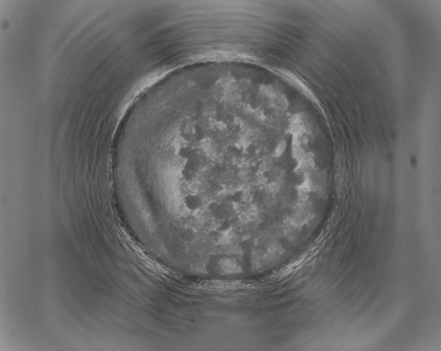 X0000066530831200604071615