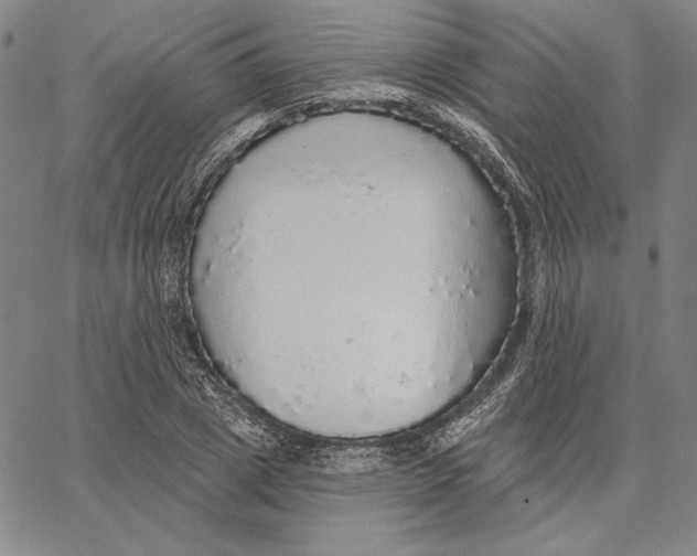 X0000066530833200604071615