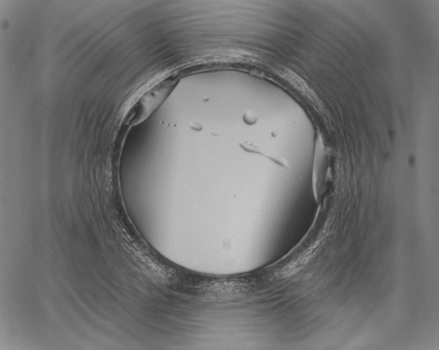 X0000066530834200604071615