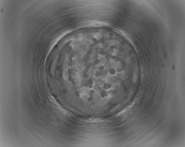 X0000066530835200604071615