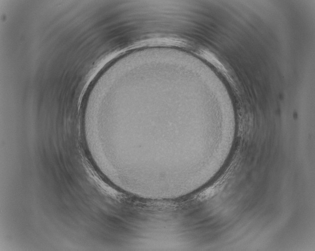 X0000066530836200604071615