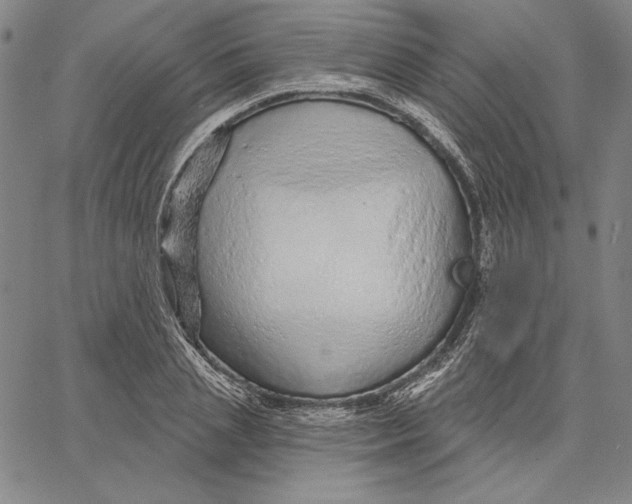 X0000066530837200604071615