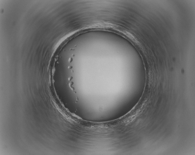 X0000066530838200604071615