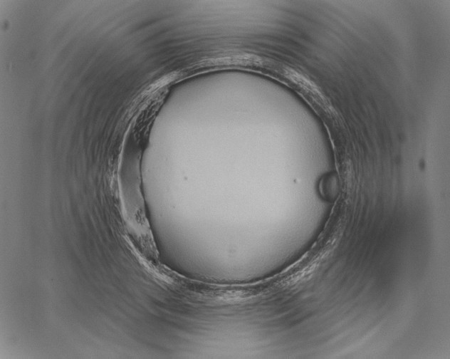 X0000066530841200604071615