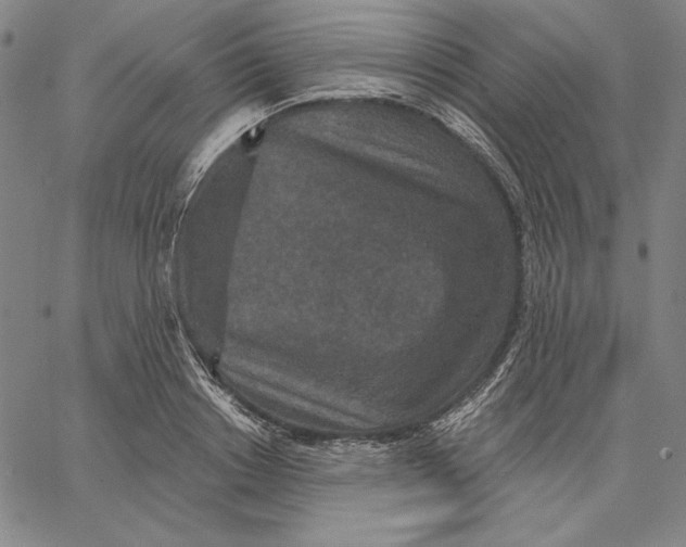 X0000066530842200604071615