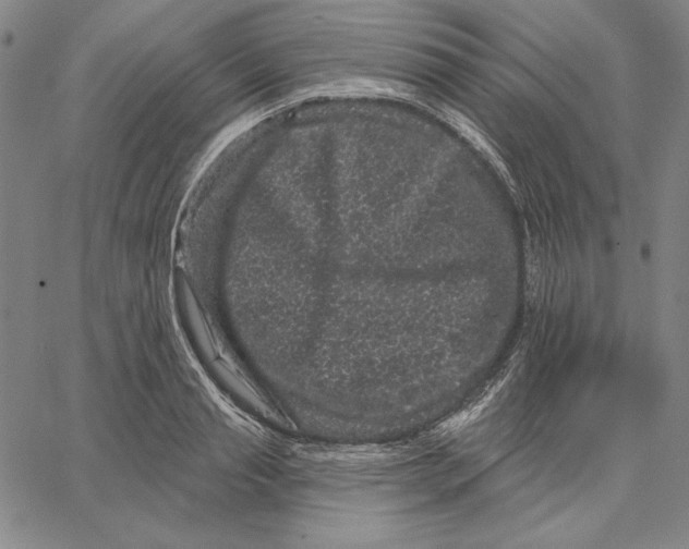 X0000066530845200604071615