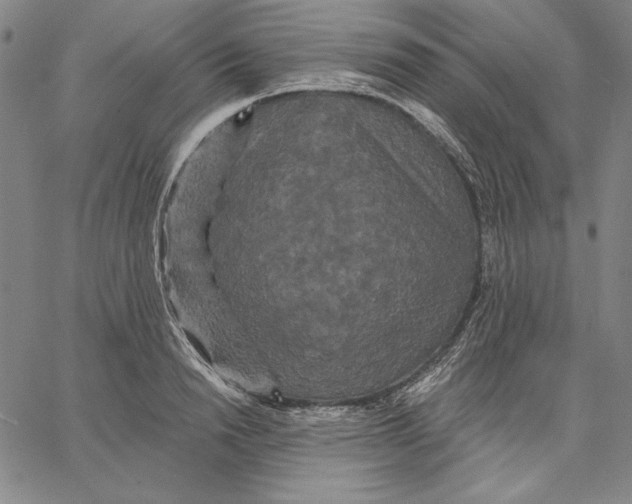 X0000066530846200604071615