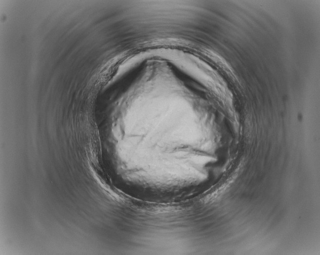 X0000066530849200604071615