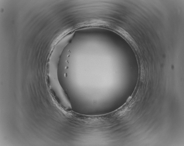 X0000066530850200604071615