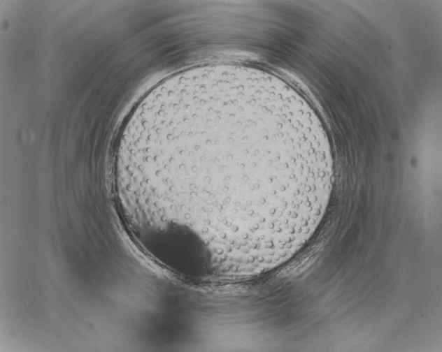 X0000066530851200604071615