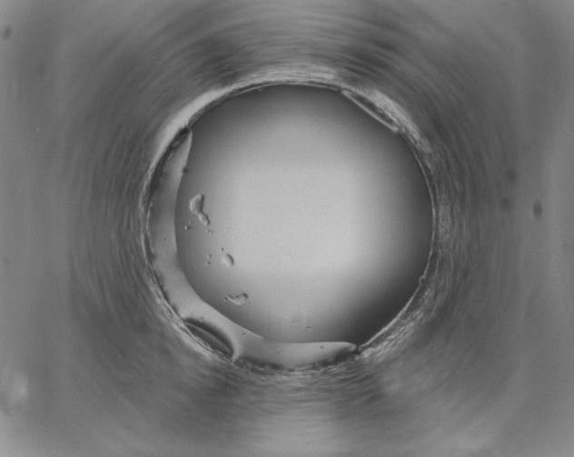 X0000066530854200604071615