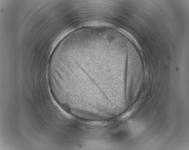 X0000066530855200604071615