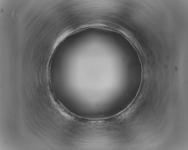 X0000066530858200604071615