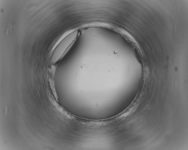 X0000066530860200604071615