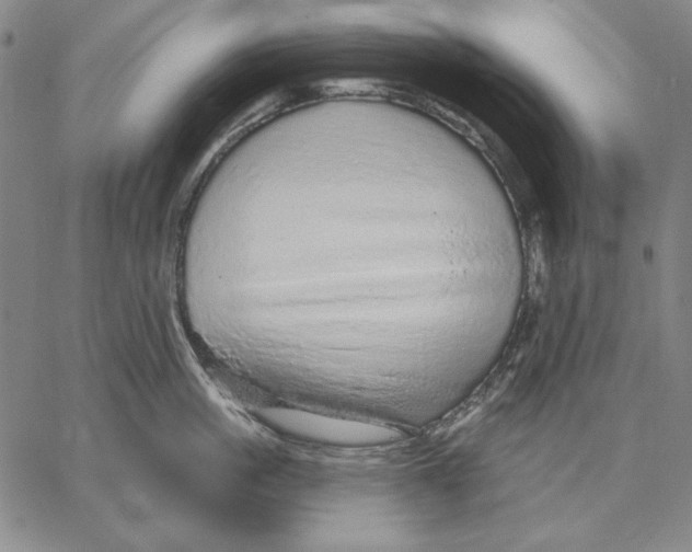 X0000066530861200604071615