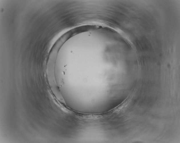 X0000066530862200604071615