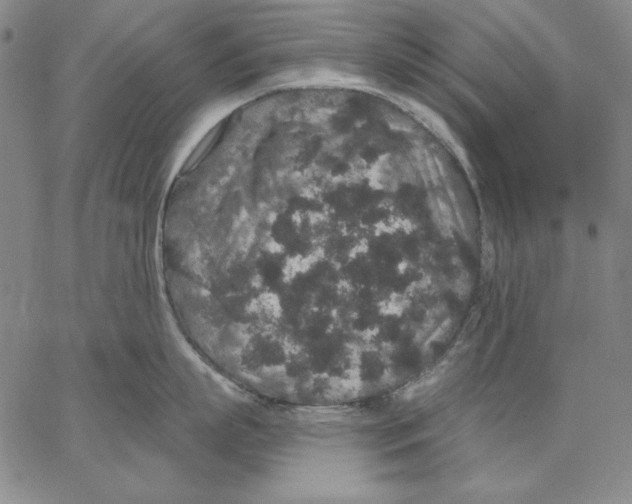 X0000066530863200604071615