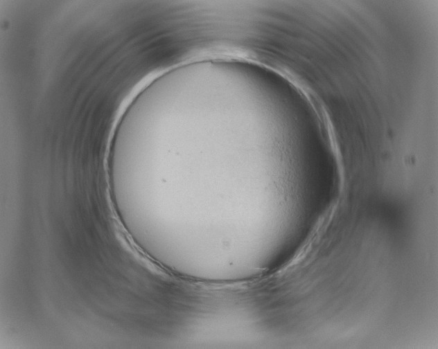 X0000066530864200604071615