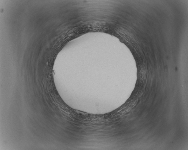 X0000066530865200604071614