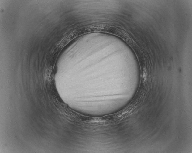 X0000066530867200604071614