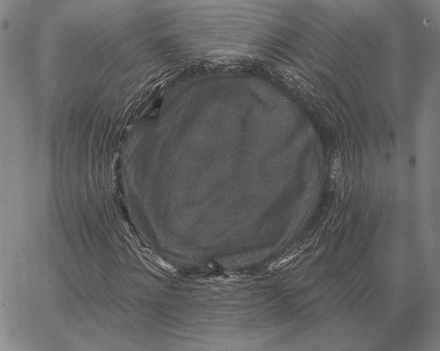 X0000066530868200604071614