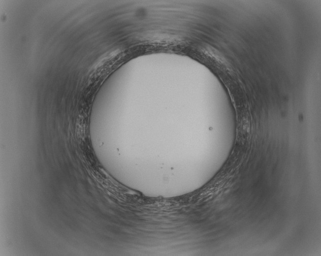 X0000066530869200604071614